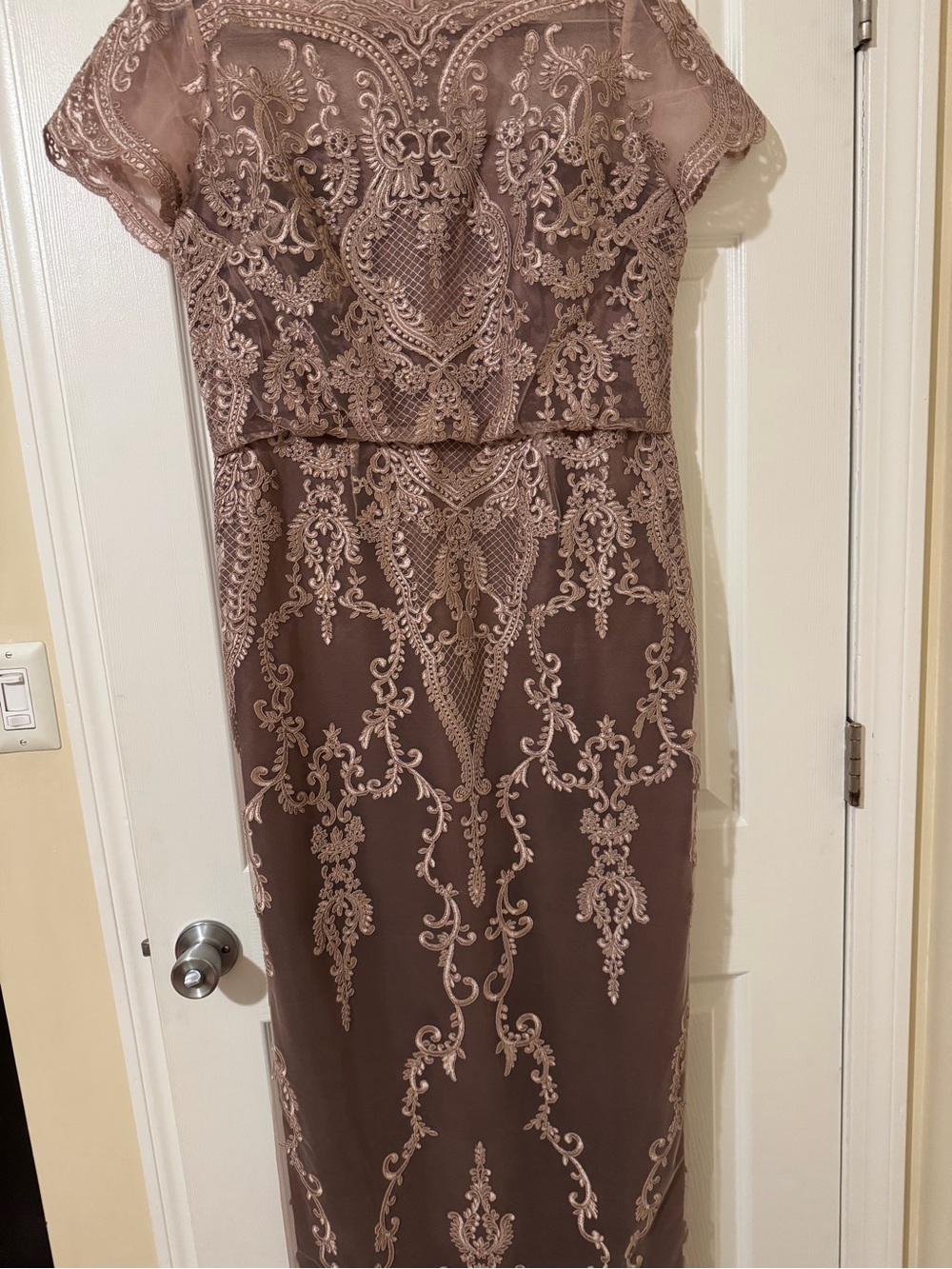 JS Collections Mauve Lace Overlay Maxi Dress